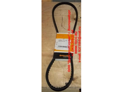 Ремень 13х1125 Европа ЕВРОПА  фото 1 Иваново