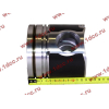 Поршневая группа WD12/WD618 (6 гильз, 6 поршней (..0017), 6 пальцев, комплект колец) SH SHAANXI / Shacman (ШАНКСИ / Шакман) 61800010125 фото 12 Иваново