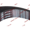 Ремень 8PK1050 водяного насоса ручейковый H3 HOWO (ХОВО) VG2600020253 фото 2 Иваново
