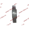 Шестерня привода распредвала промежуточная WD615/WP10 HOWO (ХОВО) VG1560050053/61560050053 фото 3 Иваново